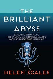 Cover of The Brilliant Abyss