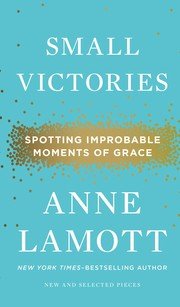 Cover of Small Victories