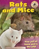 Cover of Rats and Mice
