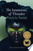 Cover of The Intentions of Thunder