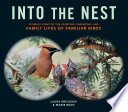Cover of Into the Nest