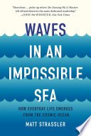 Cover of Waves in an Impossible Sea
