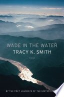 Cover of Wade in the Water