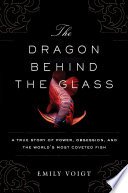 Cover of The Dragon Behind the Glass