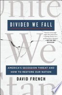 Cover of Divided We Fall