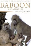 Cover of Baboon Metaphysics
