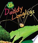 Cover of Daddy Longlegs