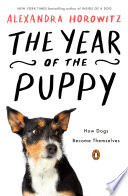 The Year of the Puppy Cover