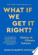 Cover of What If We Get It Right?