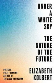 Cover of Under a White Sky
