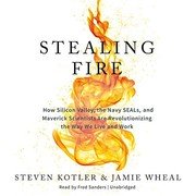 Cover of Stealing Fire