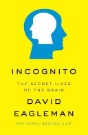 Incognito Cover
