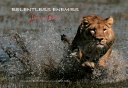 Cover of Relentless Enemies
