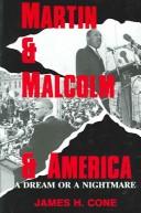 Martin & Malcolm & America