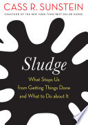 Sludge Cover